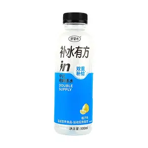 HAOWANGSHUI Hydrating Electrolyte Drink - Chinese Style Electrolyzed Water with Pomelo Flavor, 500ml - Enriched with Ginseng, Poria, Yam, and Licorice - Perfect for Post-Workout Rehydration
