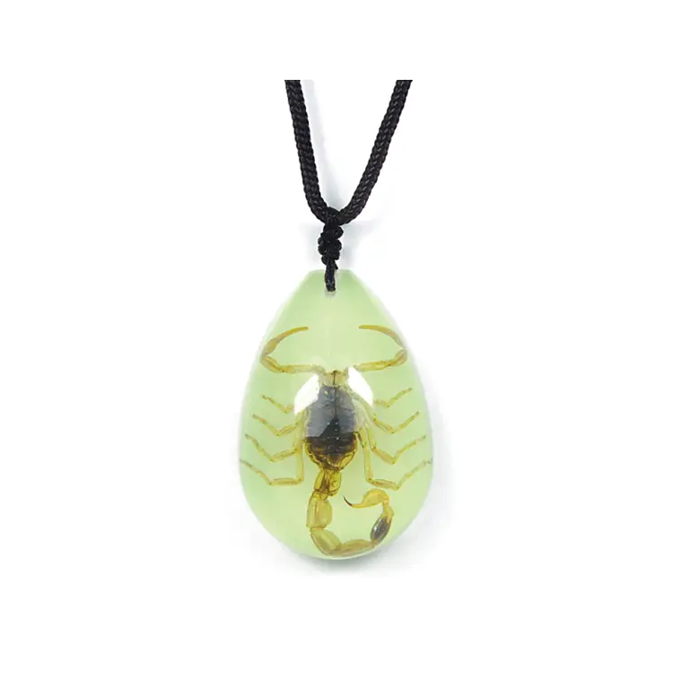 Glow In The Dark Pendant Necklace with Real Brown Scorpion