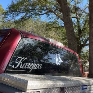 Duck Back Window Decal