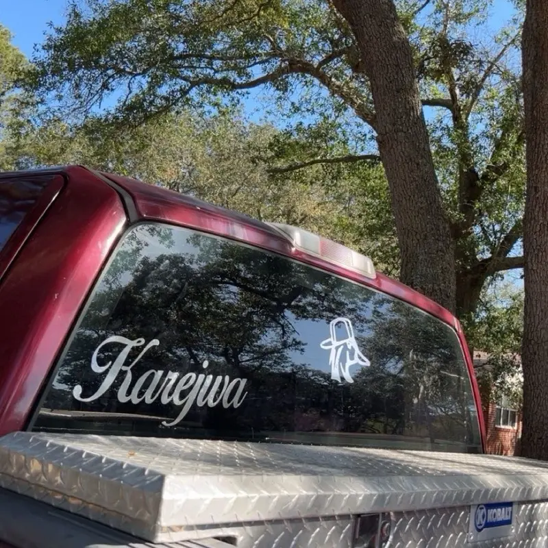 Duck Back Window Decal