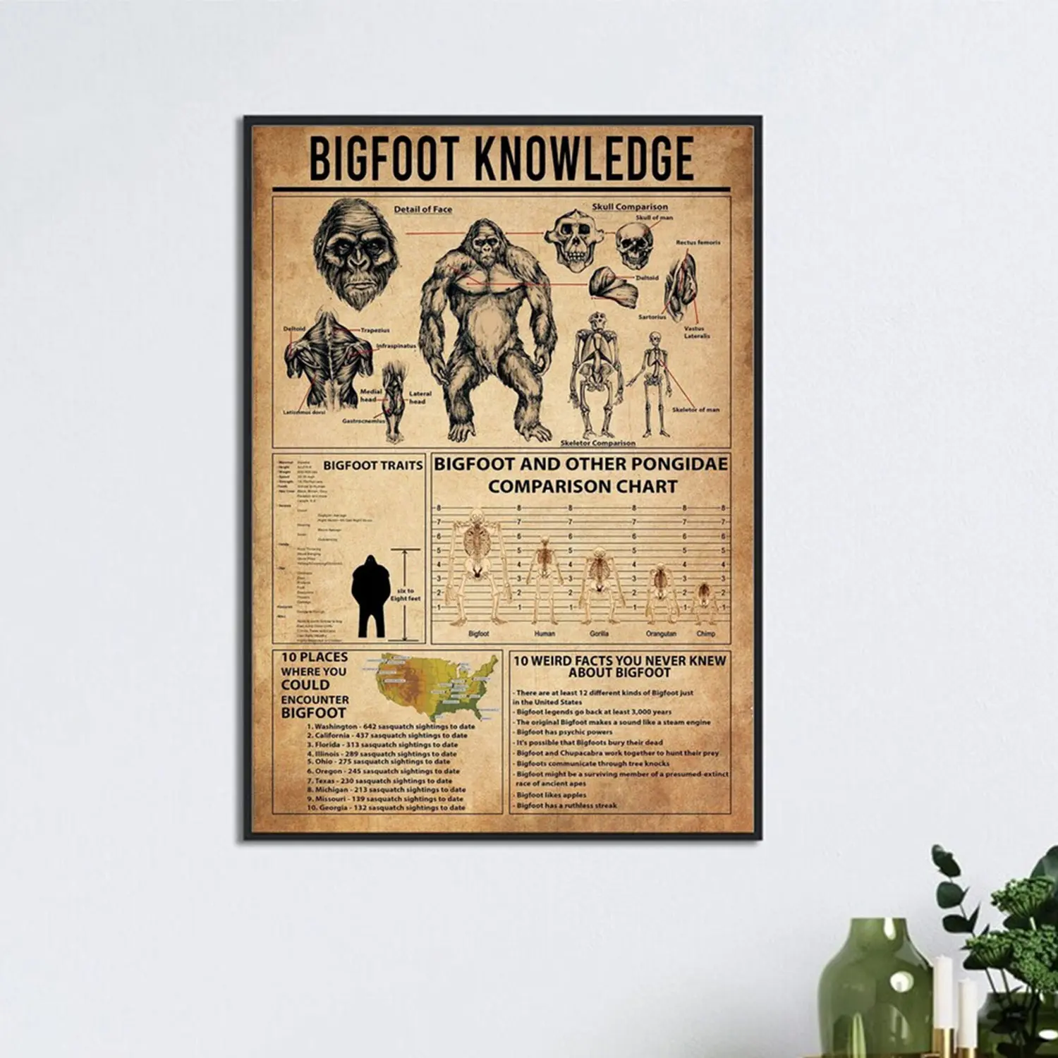 Bigfoot Knowledge Poster, Knowledge Poster, Bigfoot Lover Poster Gift, Bigfoot Comparison Chart, Bigfoot Wall Art, Bigfoot Lover Gift