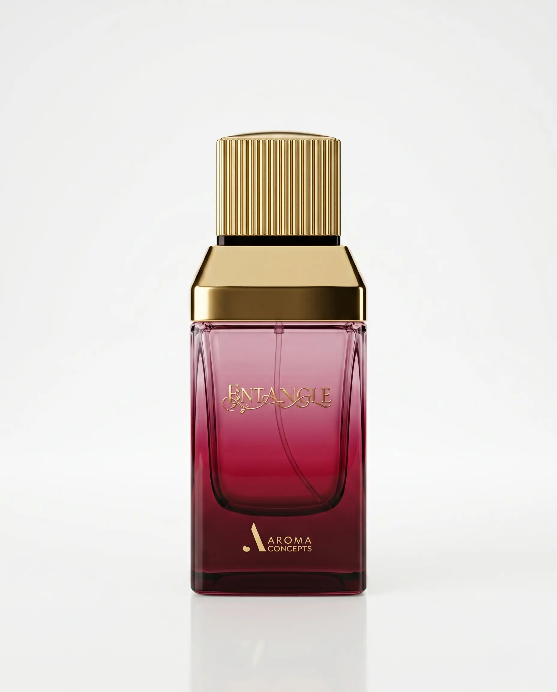 Entangle by Aroma Concepts EDP Perfume 100ml Women Fragrance Entangle by Aroma Concepts EDP Perfume 100ml Women Fragrance