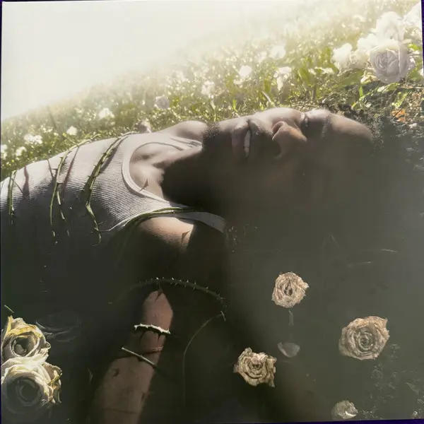 D4vd - Withered (Pure Cloudy White LP) (Vinyl LP) D4vd - Withered (Pure Cloudy White LP) (Vinyl LP)