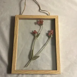 Simple Beauty - Ross Champions Encased in Glass Framed Dried Flower Display