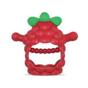 RaZbaby RaZberry Grip Silicone Teether Toy for 3M+ Babies & Infants - Drop Resistant, Non-Toxic, Multi-Textured Design for Front and Back Teeth