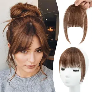Clip on Bangs for Women Hair Clip in Bangs Human Hair # 08 Air Wispy with Temples Hairpieces