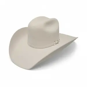 30x Texas Silver Belly Wool Western Hat-ZG30