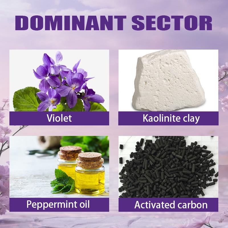 Rozino Purple Tooth Powder, Fine Texture, Dip Wet Toothbrush, for Morning Routine, Fresh Minty Feel