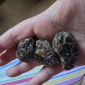 Natural Amber Rough 1pc