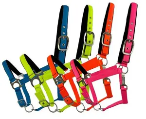 Fluorescent Color Average Horse Halter