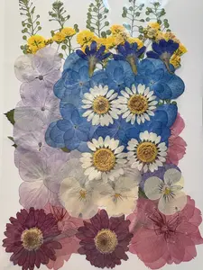 Dried Pressed Flowers and Leaves for Resin Project, Jewelry DIY, Scrapbooks, Framed Picture and Wedding Invitation beginner craft diy art card kit soap making thoughtful gift