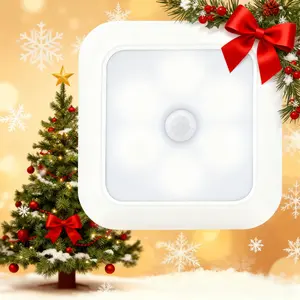 Motion sensing night light (magnetic sensor): perfect for wardrobes, cabinets, corridors, and hallways, Christmas gifts