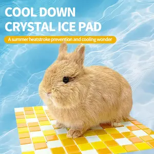 Rabbit Cooling Pad, 11.8x11.8 in Hamster Cooling Mat Pet Cool Plate for Rabbit Bunny Hamster Guinea Pig & Other Small Pets Stay Cool This Summer - Bite Resistance Pet Cooling Pad Ice Bed