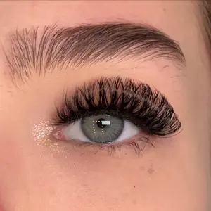 Beauty Lashes Makeup Eyelashes