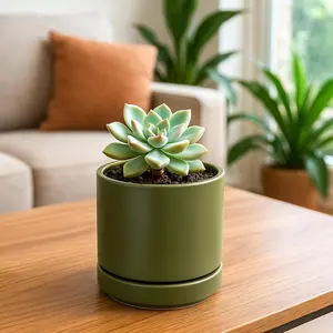 Green Ceramic Planter