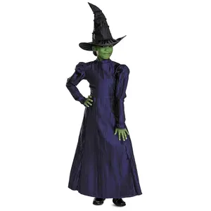 Toddler Deluxe Wicked™ Elphaba Purple Dress Costume - 3T-4T