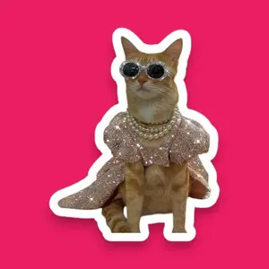 Luxury Cat Comedic Sticker Decal, Laptop Decal