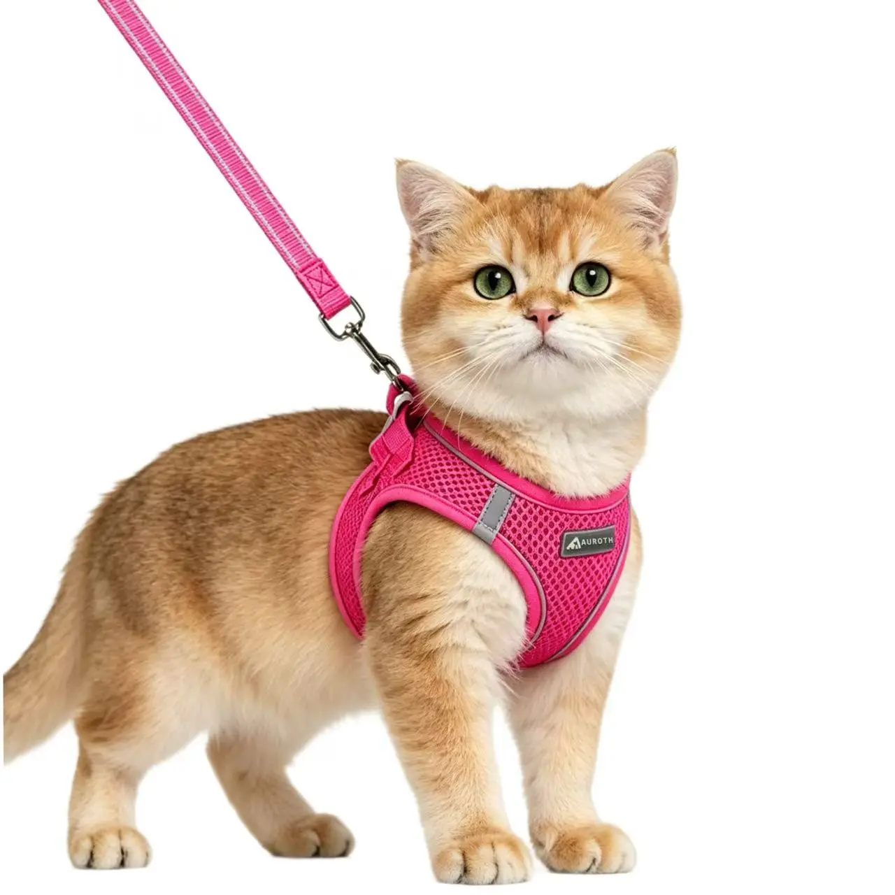 AUROTH Cat & Small Puppy Step-In Harness and Leash Set - Breathable Mesh, Lightweight Fit, Palm Padded, Reflective Bands for Safe Easy Walking, Step-In Ease