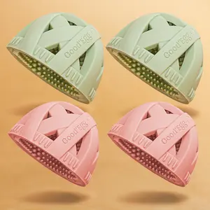 The Feathered Family Brush Pack