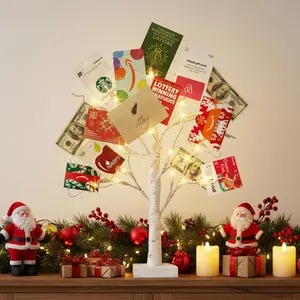 Money Tree Gift Holder, Lighted Birch Tree 2FT 24LED, Battery/USB Powered Timer Light Up Display Twig Gift Card Tree with 6 Clear Clips and 6 Cards for Home Christmas Graduation Photo MemoAB9PeakVibe