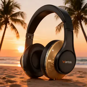 【LIVE-Song】Bluetooth Headphones Over Ear, Wireless Headset with Mic,3D Music Modes,  HiFi Stereo, Foldable & Lightweight, Deep Bass for Home, Office, Cellphone, PC, etc. Earbuds, TH20, Perfect Christmas Gift for Kids, Husband, Girlfriend or Family