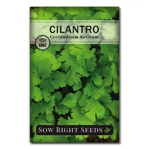 Cilantro Seeds for Planting - Non-GMO Heirloom Packet with Instructions to Grow a Kitchen Herb Garden - Great Addition to Your Cooking - Make Coriander Seasoning - Zesty Herb (1)