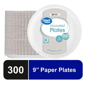 Great Value Uncoated Paper Plates, 9", 300ct Disposable Pack
