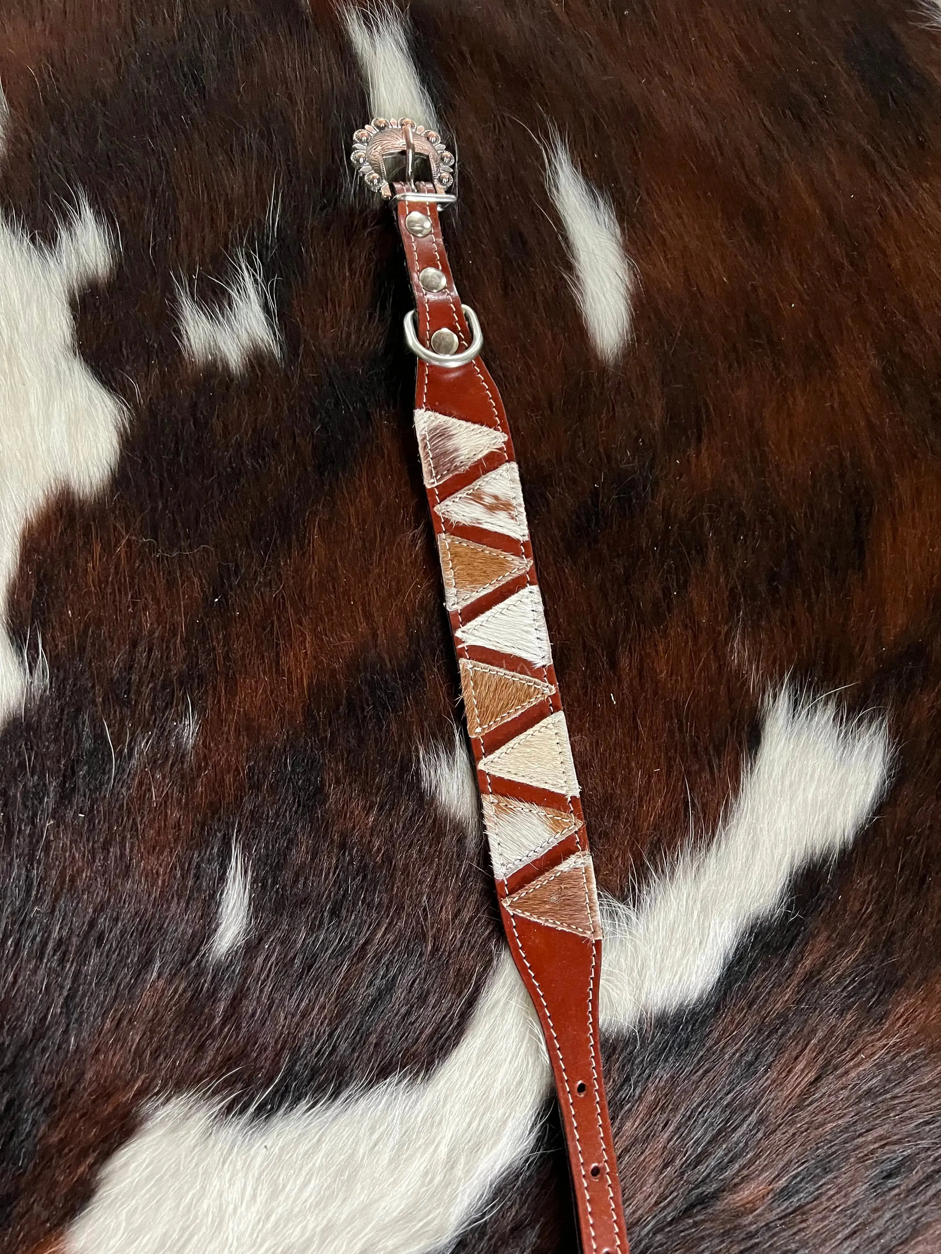 Hair on Cowhide Medium oil leather dog collar
