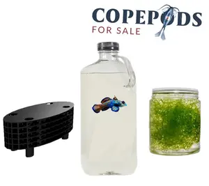 Refugium Kit 32oz Copepods 3 Species Mix, 1 Cup Clean Chaeto +Free Copepod Hotel