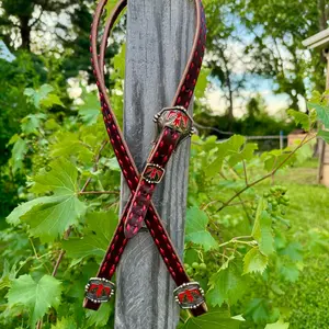 Chocolate & Red Buckstitch Thunderbird Headstall