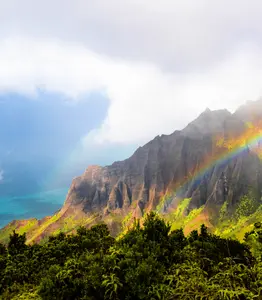 O'ahu  - Premium Fragrance Oil