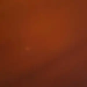 review image 5