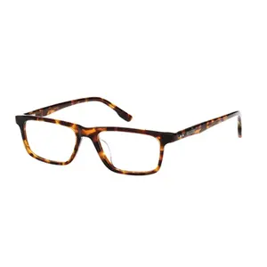 HOLLISTER 50043 Eyeglasses