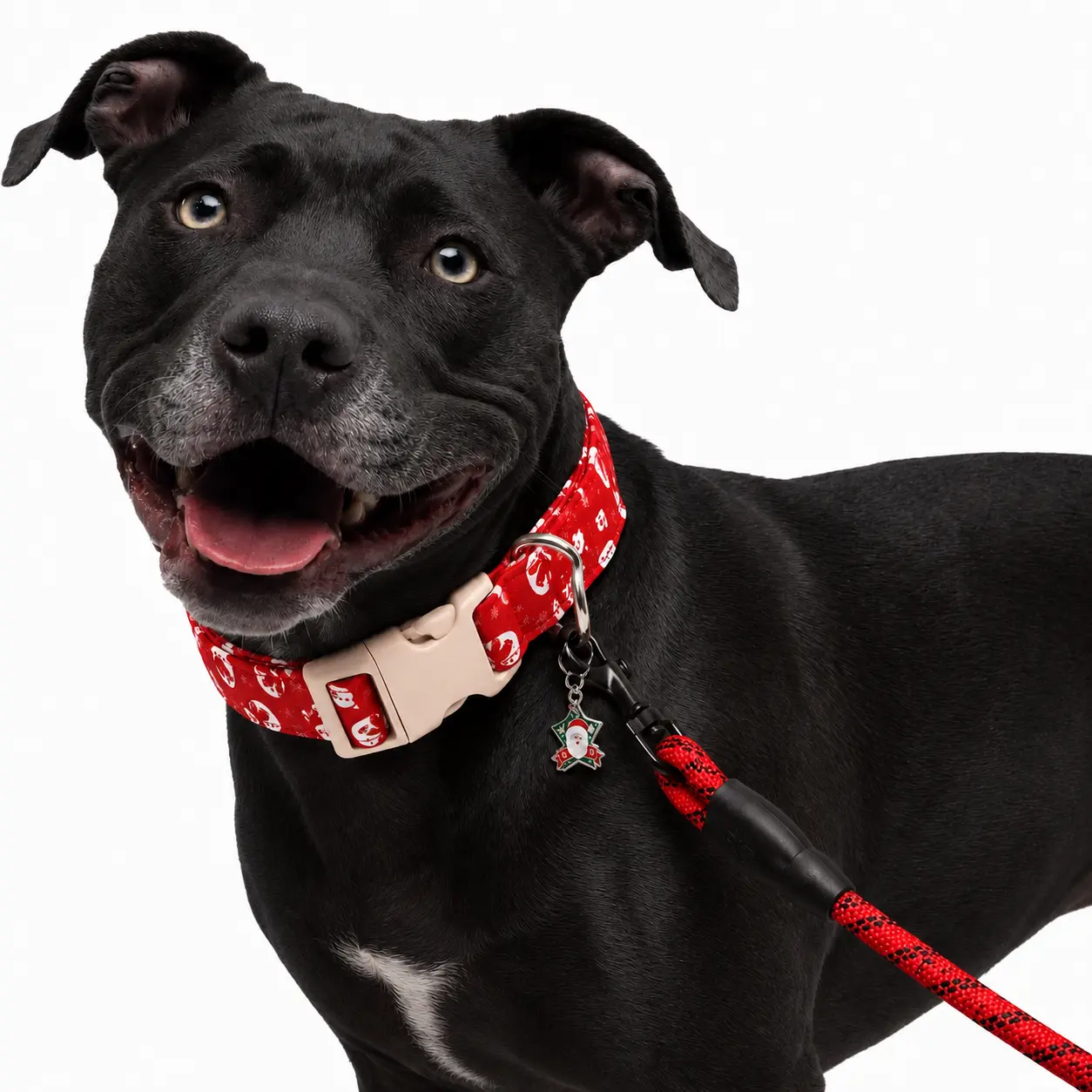 Adjustable Dog Collar With Metal Buckle - Durable & Cute Dog Accessories for Small Medium Large Boys Girls Dogs summerwins