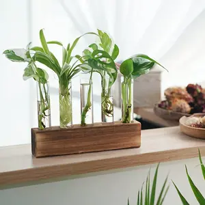 Solid Wood Stand with Transparent Test Tube Hydroponic Plant Vase, Perfect for Pothos & Flower Arrangements, Ideal Gardening Gift