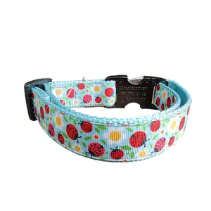 Ladybugs and Daisies Light Blue Nylon Dog Collar MD, LG, XL, Leash