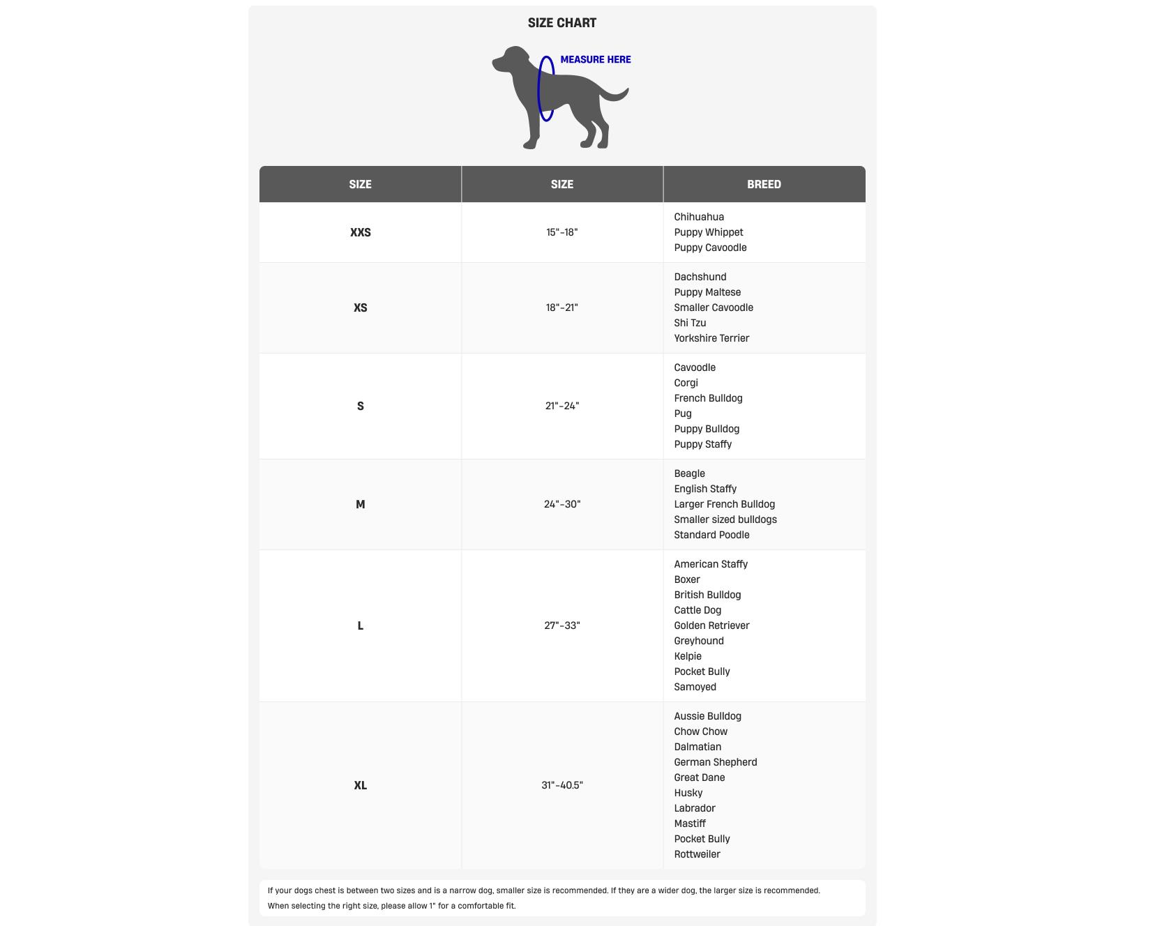 Dog Friendly Co. Harness - Easy to Fit No-Pull Design - Safe Secure and Comfortable - Ideal for All Dogs - Chafe-Resistant Lightweight Straps - Adjustable Straps for Perfect Fit