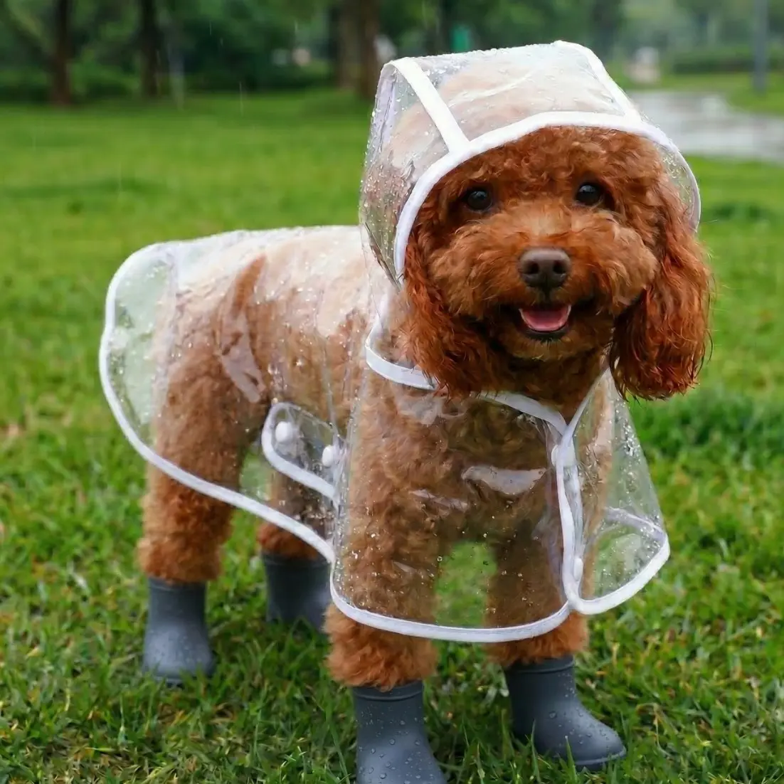 Waterproof Transparent PU Pet Raincoat Clothing, Soft Hooded Dog Puppy Rain Jacket for Poodle, Ideal for Rainy Days and Outdoor, Pet Supplies, Perfect Gift Year-Round