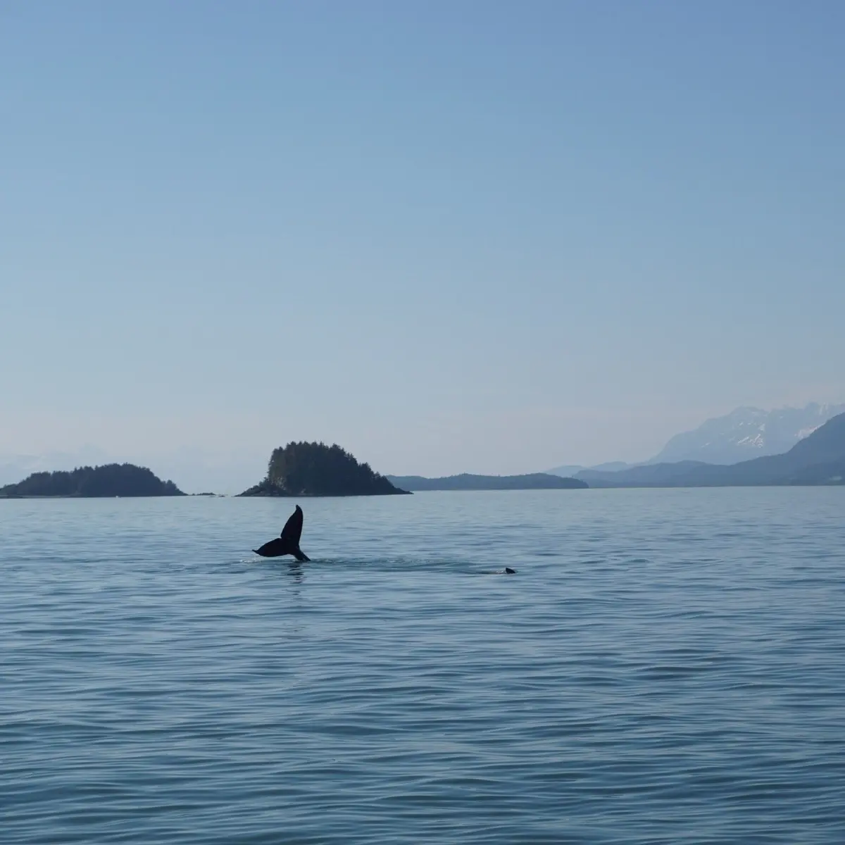 Alaskan Waters.