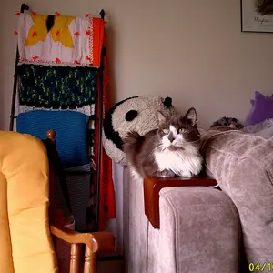 review image 10