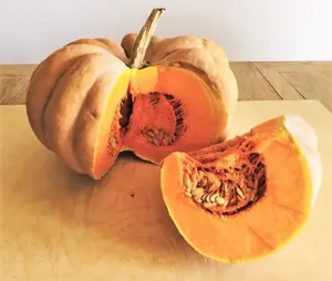 TomorrowSeeds - Fairytale Pumpkin (Musqee de Provence) Seeds -  French Cinderella Pumpkins Halloween Squash Vegetable Seed For 2024 Season
