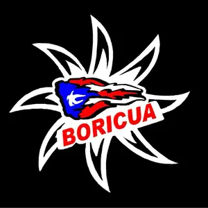 CAR STICKER #7 with FLAG, 4"X4" Waterproof Vinyl