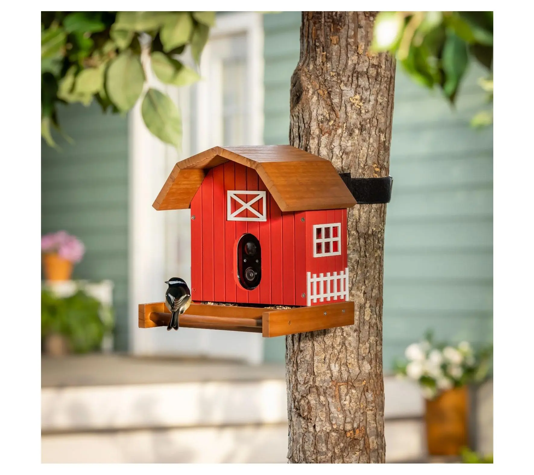 Evergreen LED Barn House Smart Bird Feeder withCamera Evergreen LED Barn House Smart Bird Feeder withCamera