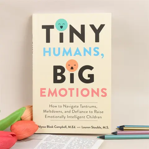 Tiny Humans Big Emotions Parenting Guide for Emotionally Smart Children, Control Anger and Emotional Collapse, Ideal Gift for Parents, Parenting Books