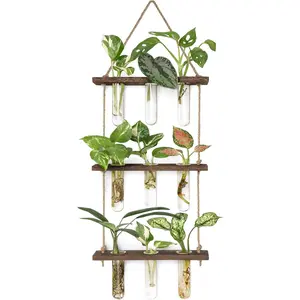 Propagation Tubes, 3 Tiered Wall Hanging Terrarium with Wooden Stand Flower Vase Test Tube Glass Planter Stations for Hydroponic  Home Garden Office Decor (Brown, Small)