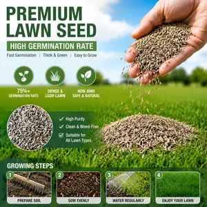 【 PetalPit】All-Purpose Grass Seeds - Wear-Resistant & Insect-Resistant, Suitable for Park/Yard/Football Field, Easy to Plant