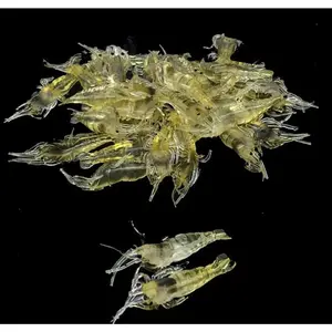 Simulation grass shrimp bait 4 cm soft shrimp bait fishing gear cost-effective convenient soft bait bait