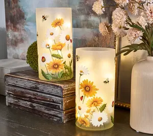 Set of 2 8" Illuminated Daisy Hurricanes by Valerie