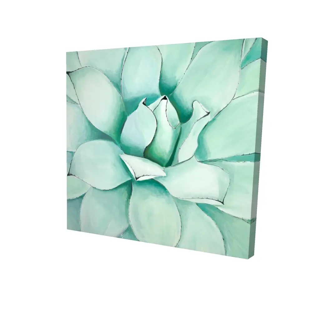 Begin Home Decor 2080-2424-FL273 24 x 24 in. Succulent Closeup Botanical Canvas - Contemporary Home Decor