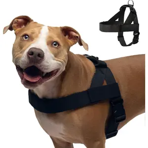 Dog Friendly Co. Harness - Easy to Fit No-Pull Design - Safe Secure and Comfortable - Ideal for All Dogs - Chafe-Resistant Lightweight Straps - Adjustable Straps for Perfect Fit